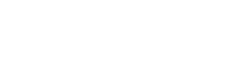 Logo IFD
