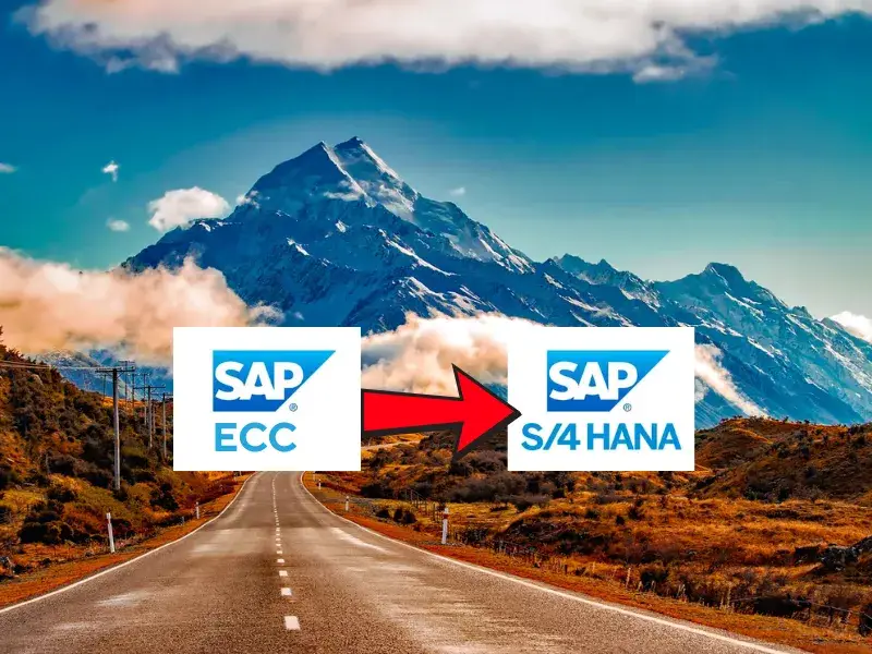 Standard SEO Agencies 13 1