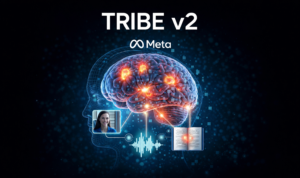 Tribe v2